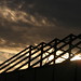 Steven Greer Photo 28