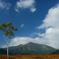 David Baer Photo 15