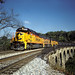 Thomas Chessie Photo 7