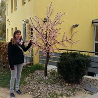 Susan Spitz Photo 23