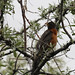 Regina Robins Photo 8