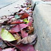 Jane Rowe Photo 37
