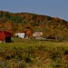 Steven Hecker Photo 16