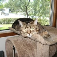 Carol Nagy Photo 20