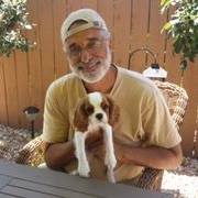Michael Westerman Photo 25