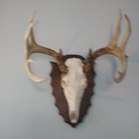 Daniel Hendricks Photo 12