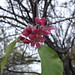 Rhonda Hall Photo 15