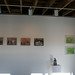 Allyson Wolf Photo 12