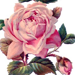 Tina Sanchez Photo 8