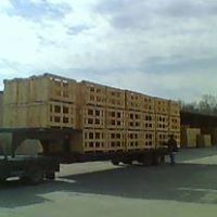 Wood Wood Photo 34