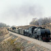 Tj Thompson Photo 34