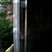 Joey Plunkett Photo 11