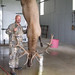 Keith Guthrie Photo 37