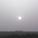 Sun Song Photo 35