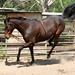 Sue Sorrell Photo 12