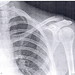 Adrienne Bones Photo 7
