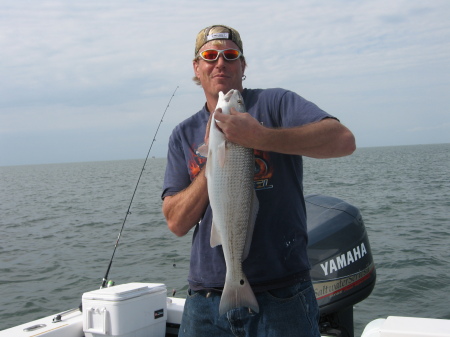 Michael Bradshaw Photo 15