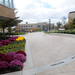 Thomas Toomey Photo 19