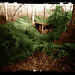 Steven Purdy Photo 16
