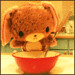 Teddy Cook Photo 15
