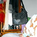 Joseph Cohn Photo 32
