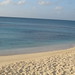 Sandy Turk Photo 13