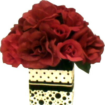 Cynthia Stein Photo 23