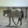 Chris Shults Photo 25