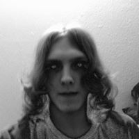 David Beagle Photo 12