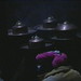 Dana Layman Photo 10