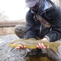 Jeffrey Lindstrom Photo 7