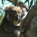 Raymond Weeks Photo 15
