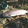 Steve Hendrickson Photo 27