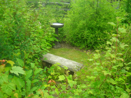 Jeanette Johnson Photo 11