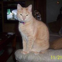 Linda Spaulding Photo 31