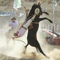 Kevin Bain Photo 18