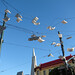 Brian Bird Photo 20
