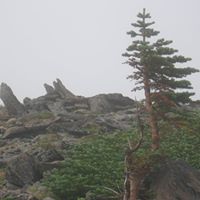 Dave Straub Photo 13