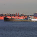 John Caddell Photo 18