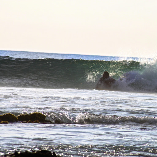 Nelson Sanchez Photo 25