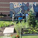 Debbie Phelps Photo 13
