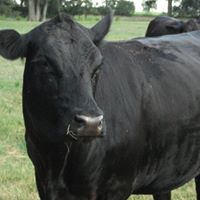 Brian Rayburn Photo 25