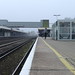 Misty Fink Photo 10