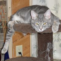 Doris Lockwood Photo 3