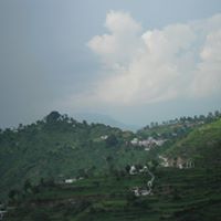 Chandra Singh Photo 8