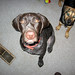 Josie Bailey Photo 18