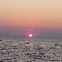 Brenda Culbertson Photo 7