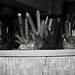 Crystal Hammond Photo 13