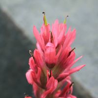 Robert Menke Photo 23
