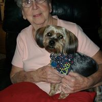 Lorraine Mcmahon Photo 7